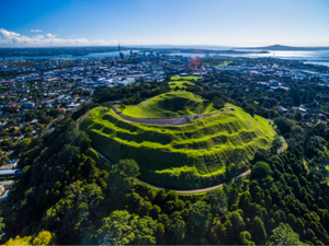 Affordable Luxury Auckland 3 Hour Tour