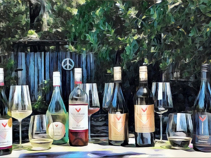 Auckland Gourmet Food and Wine One Day Tour