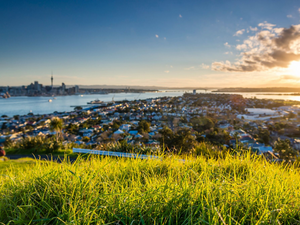 Auckland One Day Tour 