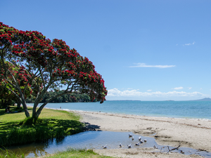 East Auckland One Day Tour