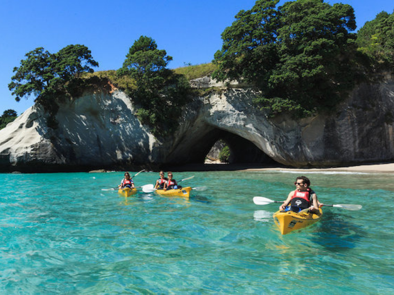 Private tours Auckland
