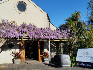 West Auckland Winery and Black Sand Day Tour