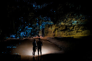 Waitomo Glowworm Caves Day Tour